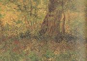 Undergrowth (nn04) Vincent Van Gogh